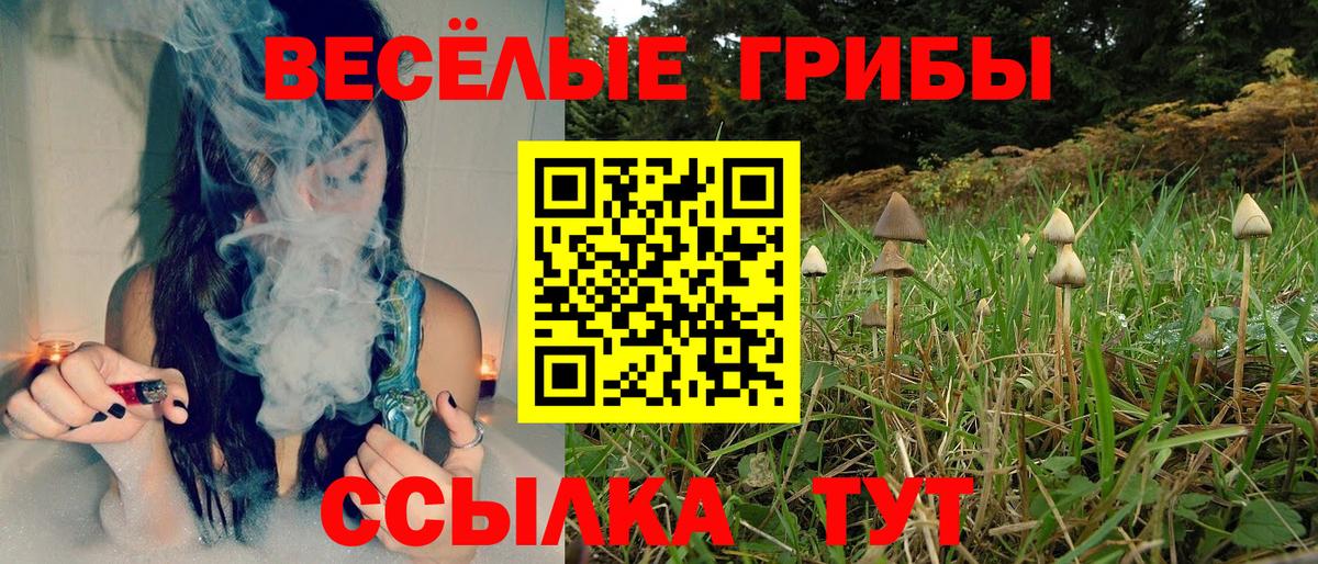 Псилоцибиновые грибы мицелий Наро-Фоминск