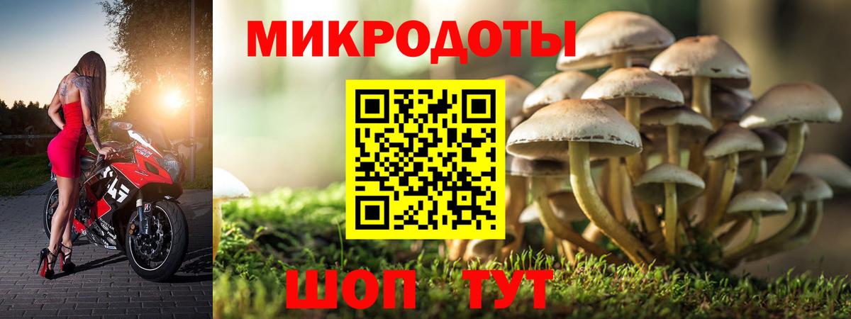 Псилоцибиновые грибы мицелий  Псилоцибиновые грибы Psilocybine cubensis  Вход с VPN  Наро-Фоминск 